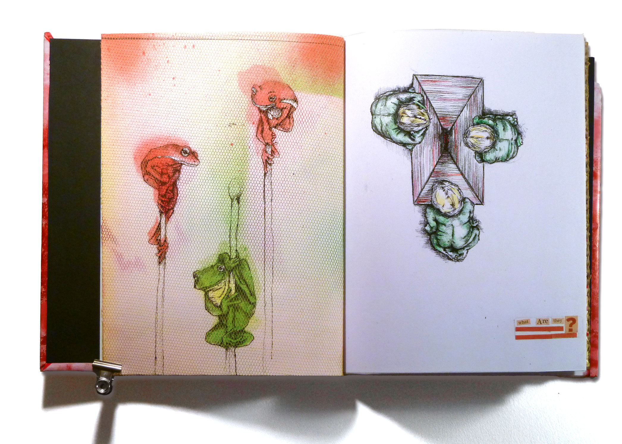 DariaPetrillo_Art_Book_1