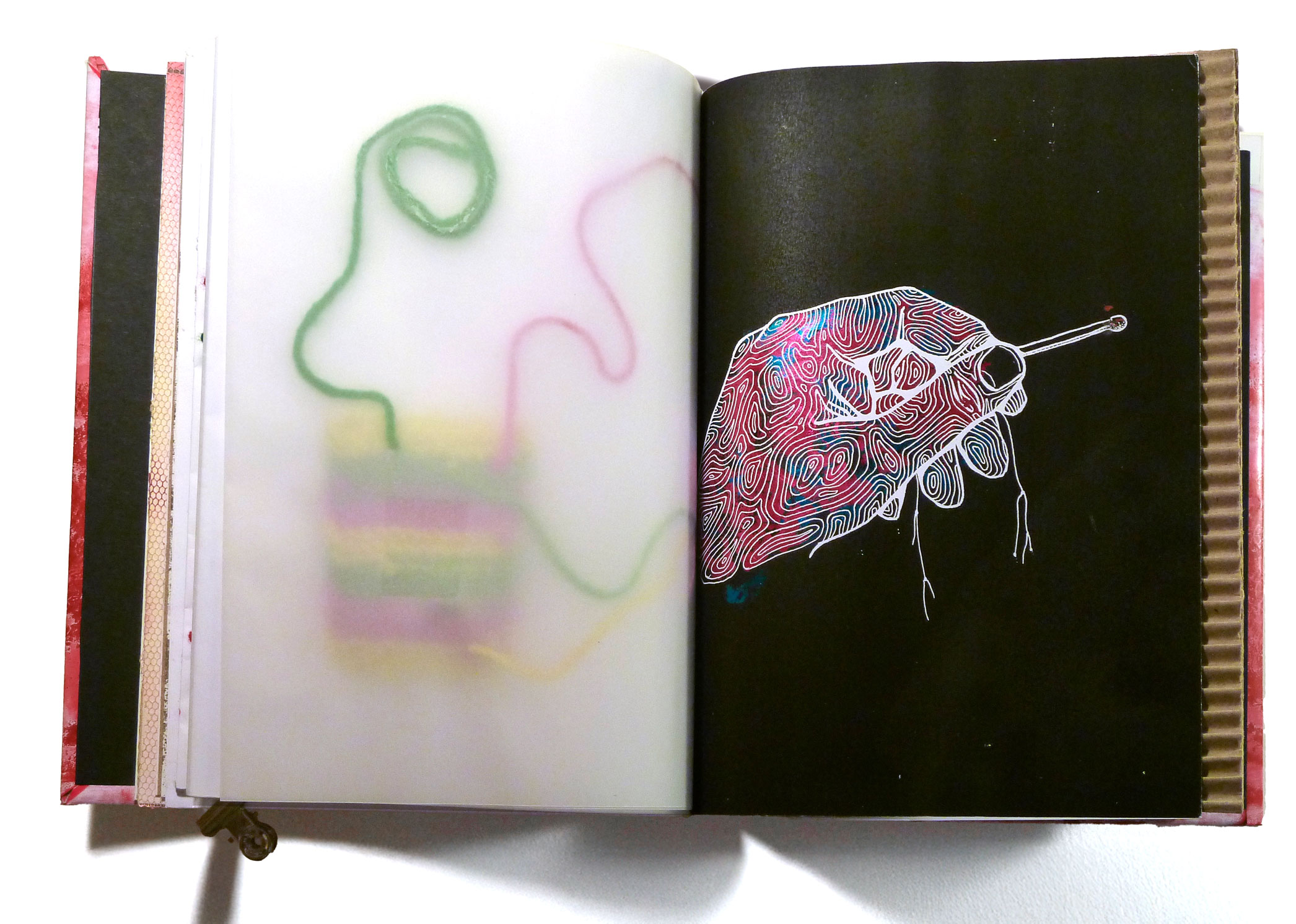 DariaPetrillo_Art_Book_4
